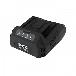 Cargador estándar 58V