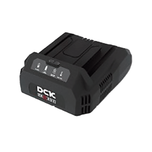 Cargador estándar 58V